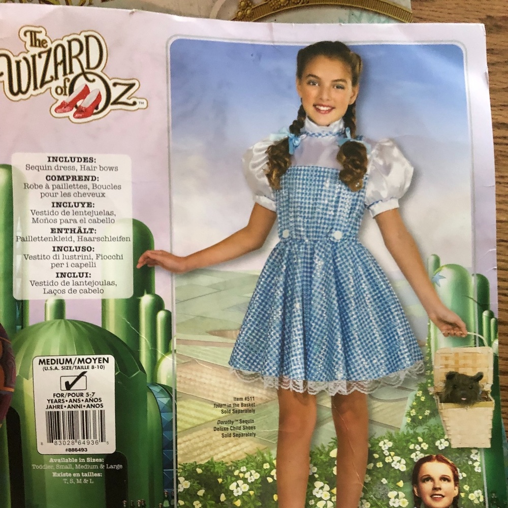 dorothy costume from wizard of oz
